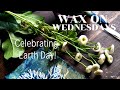 Wax on wednesdays Earth day !