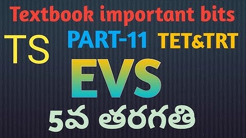 TS TET EVS important bits 5 th class for paper-1#AK Vlogs#