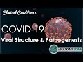 Coronavirus COVID-19 | Viral Structure & Pathogenesis