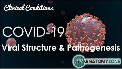 Coronavirus COVID-19 | Viral Structure & Pathogenesis