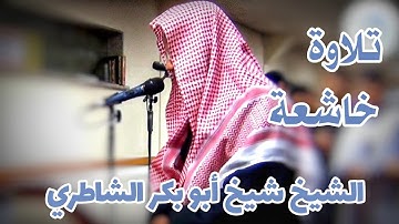 تلاوة قديمة خاشعة 💔❤ للشيخ شيخ أبو بكر الشاطري | أواخر سورة البقرة
