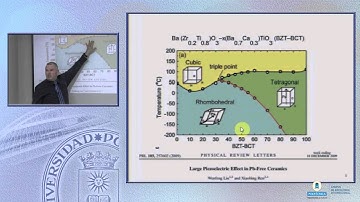 SFCM 12/13: 19 DIRECTIONAL PROPERTIES AND PERFORMANCE IN LEAD FREE PIEZOELECTRIC MATERIALS