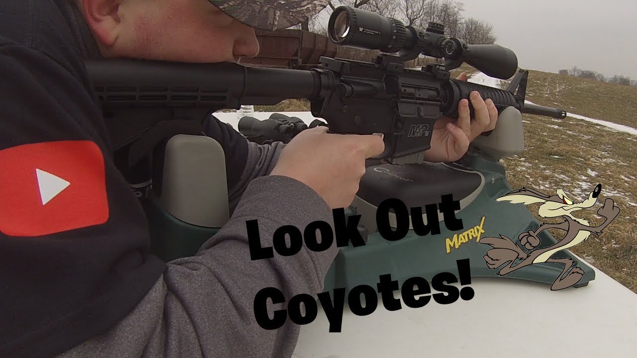 Sighting in Coyote Hunting Rifle YouTube