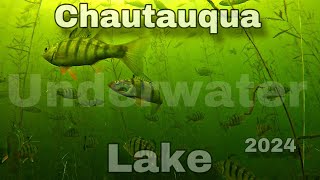 Under Water Video of Muskies and Walleye: Chautauqua Lake, NY