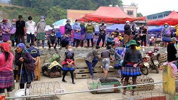 Chợ Phiên Vùng Cao Bán Toàn Đặc Sản Và Dược Liệu Quý | Miền núi tây bắc