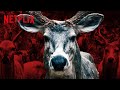 Leave the World Behind Deer in the Wild | Netflix