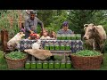 Harvesting Cooking Marinating Green Beans тАФ Village Style ЁЯМ ЁЯлШЁЯПб Harvesting Cooking Marinating Green Beans тАФ Village Style ЁЯМ ЁЯлШЁЯПб