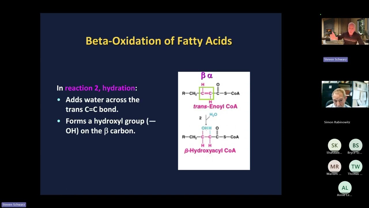 Giga MCHAD:  Fatty Acid Oxidation Disorders
