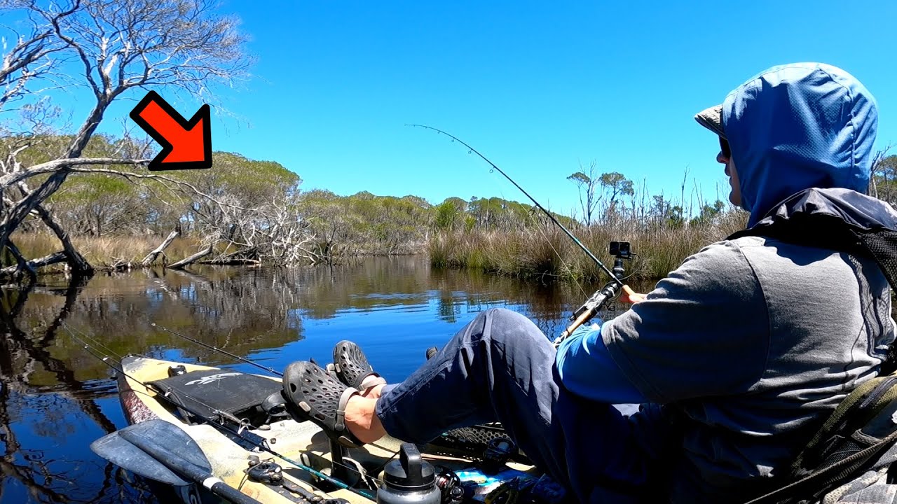 I Found a Spot LOADED with Big Fish!!