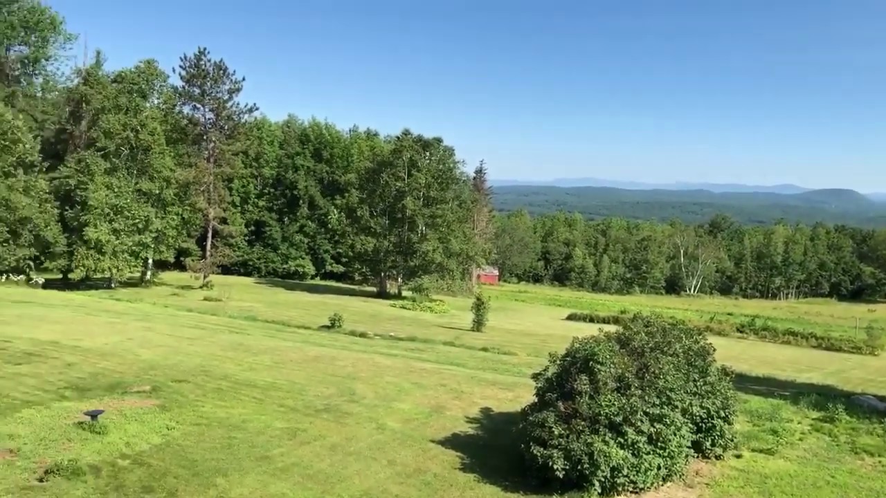 Summer morning bliss at Top of the Ridge Farm Bed & Breakfast YouTube