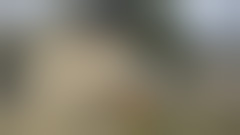 Corrected: The Most Important Image Ever Taken