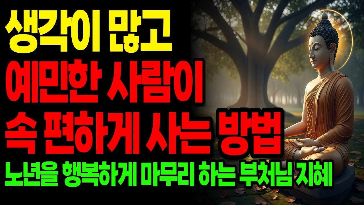 《마음이 섬세한 당신에게 – 부처가 전한 편안한 삶의 지혜|“놓고, 비우고, 깨어나는 노년의 철학”