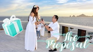 Best Marriage Proposal Ever A Surprise Wedding Proposal