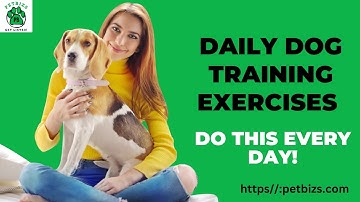 Daily Dog Training Exercise | You Should DO EVERYDAY at Home! | PETBIZS #dogs #dogtraining #viral