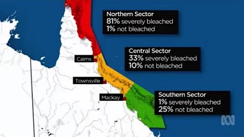 Professor Terry Hughes speaks about his survey of ...