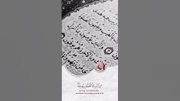 قرآن الكريم بصوت رعد الكردي 😊🖤 اجمل حالات واتس اب دينية سورة العنكبوت 🎧 وما كنت تتلوا من قبله من..