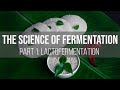 Understanding Fermentation