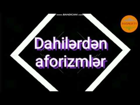 Dahilərdən aforizmlər