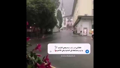 القارئ هزاع البلوشي