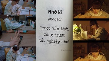 [Tổng hợp #24] ĐỘNG LỰC HỌC TẬP TIKTOK | Vì mục tiêu có thể thất tình, chứ không thất học !!