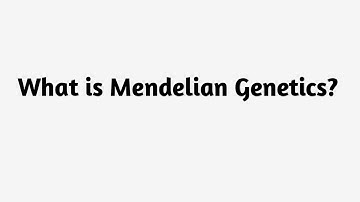What is Mendelian Genetics ?