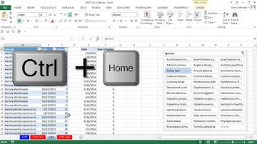 Excel Magic Trick 1256: Grouped Dates in PivotTable With Becomes UnGrouped When I Refresh!!!