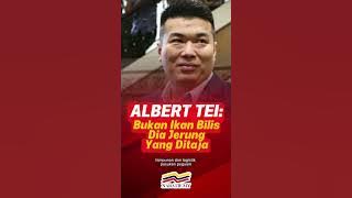 ALBERT TEI: Bukan Ikan Bilis. Dia Jerung Yang Ditaja.