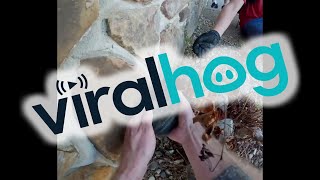 Bikers Rescue A Scared Kitten Viralhog