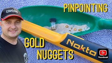 The Nokta ACCUPOINT Detects small GOLD Nuggets