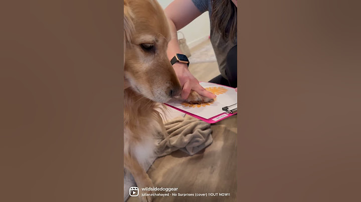 Diy Dog Paw art- free download here https://wildsidedoggear.com/blogs/news/diy-ideas-for-dog-mom-day