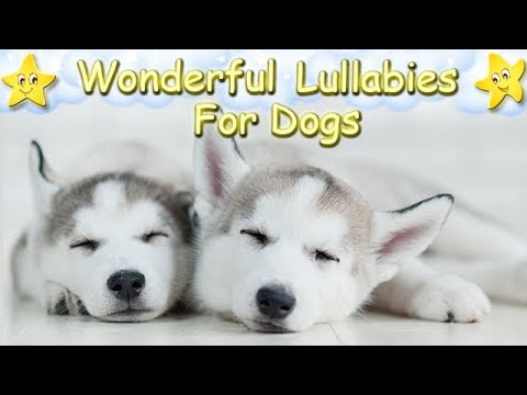 music for huskies