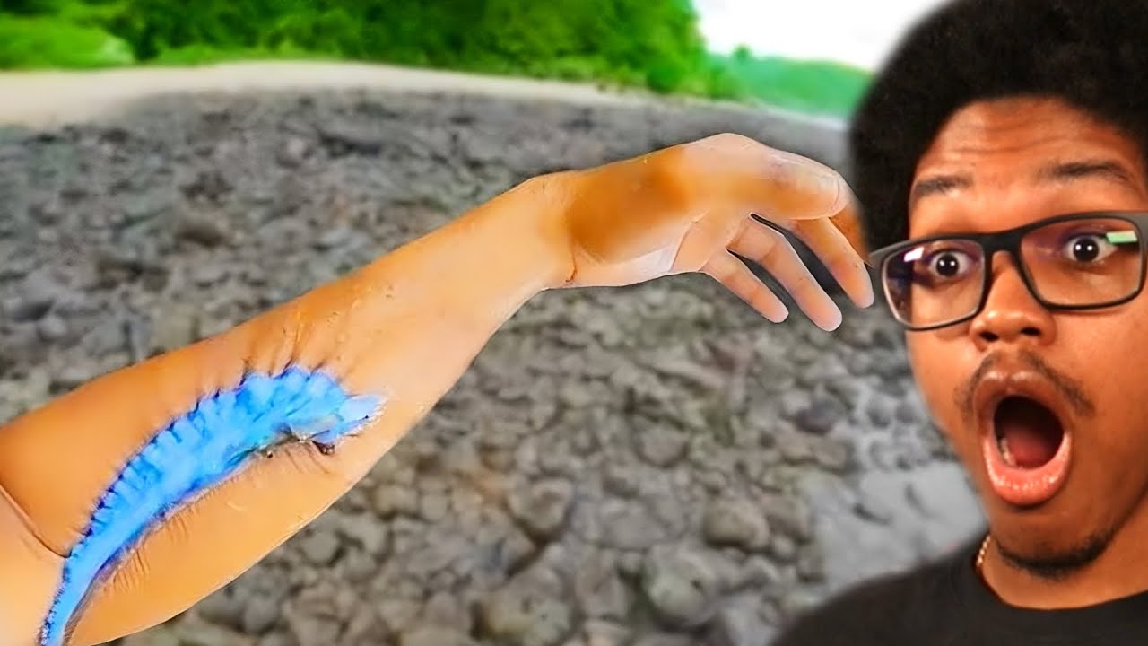 YOU SHOULD NEVER GO INTO THE OCEAN