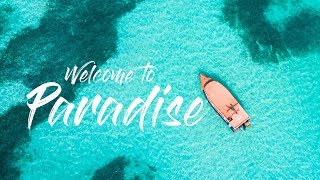 Discover Trinidad and Tobago In Two Minutes!