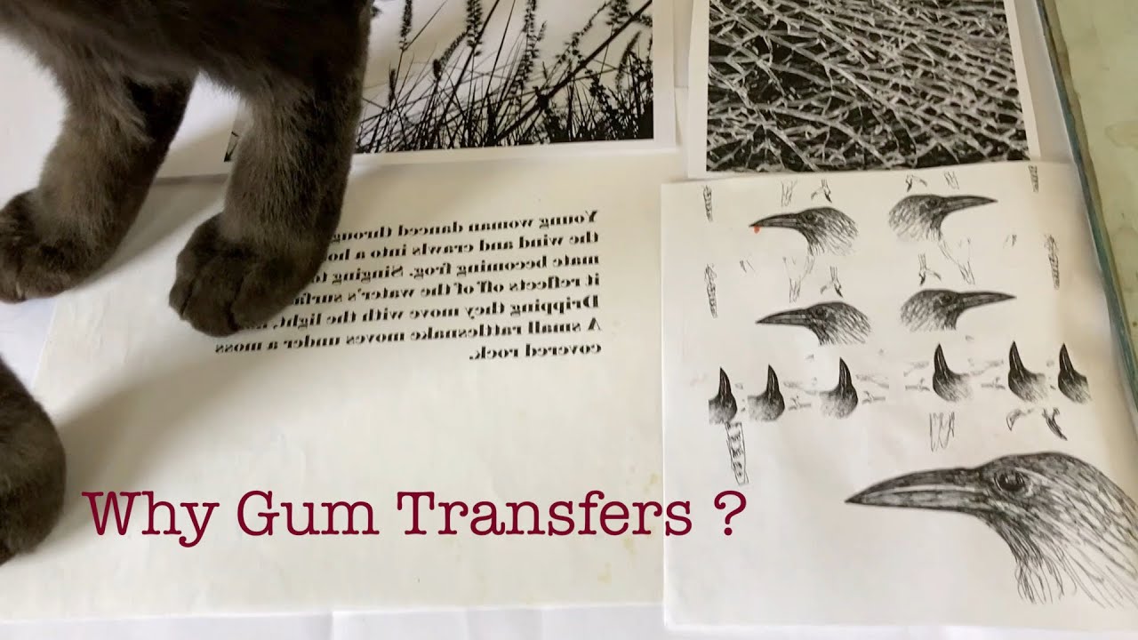 Gum Arabic Transfers