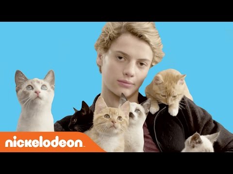 Rufus 2: Jace Norman Loves Kittens | Nick