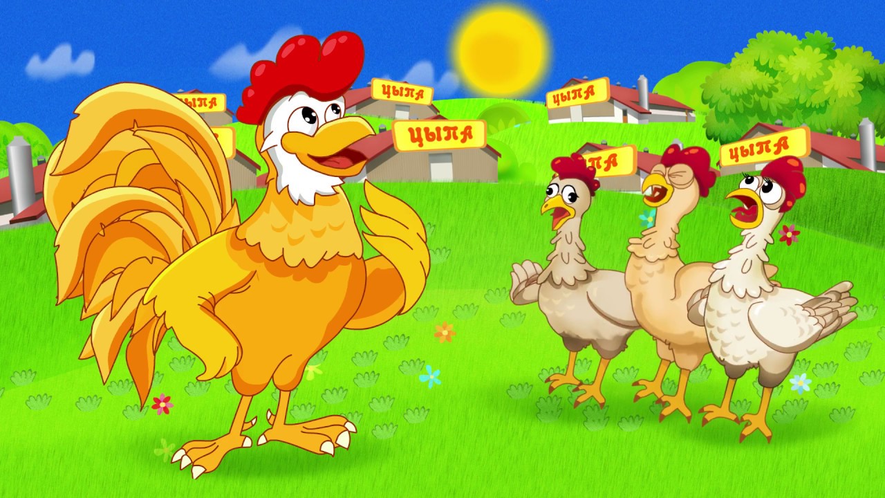 Видео про куриц. Видео про курочек для детей. Видеомонтаж курочки. Курочка Портнягин. Реклама курицы Цыпа.