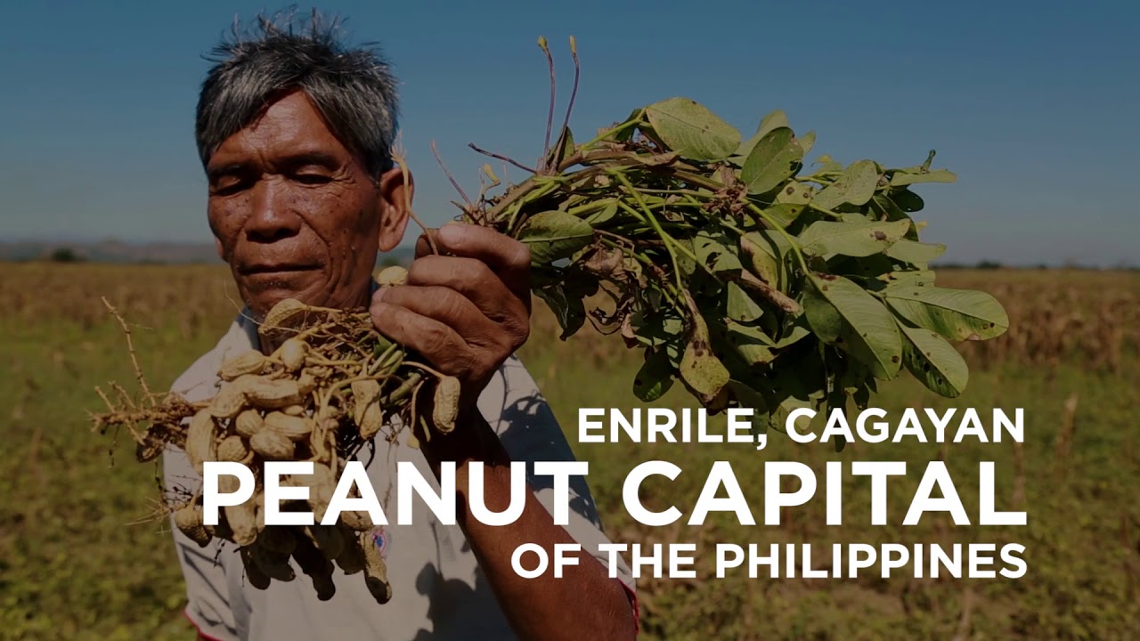 Philippine Agribusiness Investment Opportunities Cagayan Valley