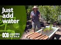 Put in a pond and diversify your garden | DIY garden projects | Gardening Australia