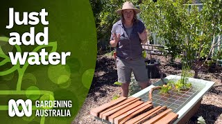 Put in a pond and diversify your garden | DIY garden projects | Gardening Australia