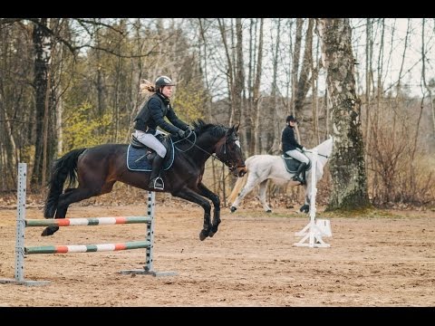 Video: Kā Salikt Zirgu