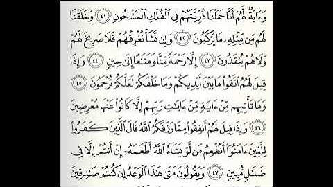 تلاوات مختارة سورة يس القارئ ناصر علي الغامدي