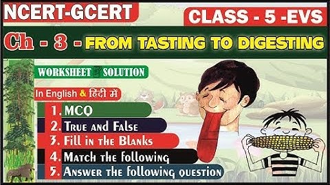 From Tasting To Digesting II Worksheet Solution II NCERT Class 5 EVS Ch 3 II @PratibhaJadhav