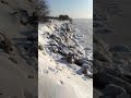 20 января 2021 г. берег Днепра 3 дня морозов
