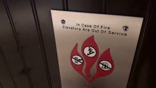 ThyssenKrupp Impulse Oildraulic Elevators @ The Cheesecake Factory Tysons Galleria in Tysons, VA