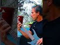 Shred Metal Bass Guitar – Lightning-Fast Techniques