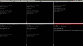 Distributed Systems: Leader Election in an Ad Hoc Network