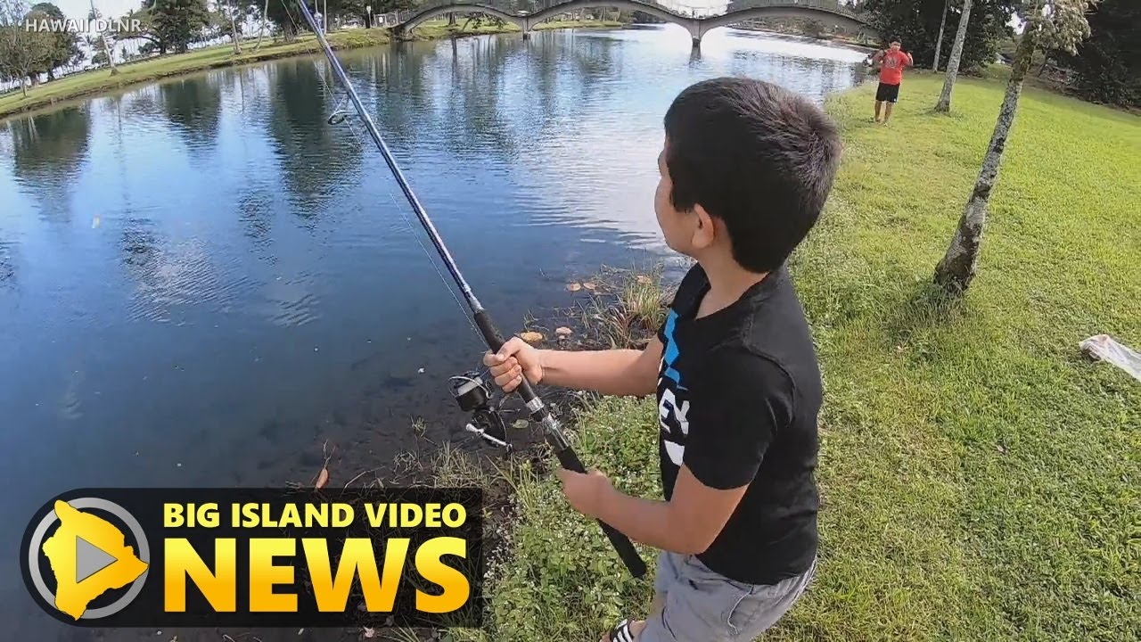 Hilo Fishing Contest Targets Invasive Tilapia (Feb. 18, 2020)