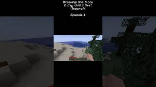 Day 1 | MINECRAFT Breaking One Block A Day Until I Beat The Game #minecraft #clips #gaming