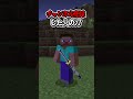 ★ 〇〇した人の刀【マインクラフト】#マイクラ #shorts