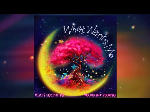 What Wants Me - S.I.A.T Stuck in a Tree x Moonlight Scorpio